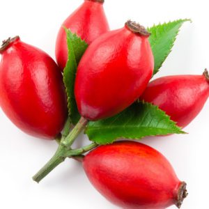 Rose Hips 4:1, PE - 4562SD