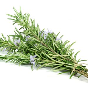 Rosemary, PE - 4568