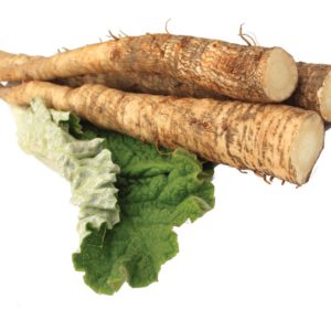 Burdock, FE - 5020