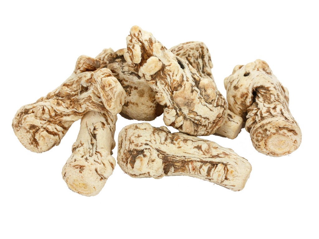 Dong Quai Root Angelica Polymorpha Sinensis Root Extract