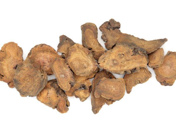 Rhubarb Root, SE - 2118A