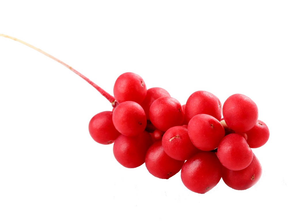 Schizandra Berry Schizandra Chinensis Berry Extract