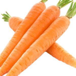 Carrot Floraceutical® - 9826