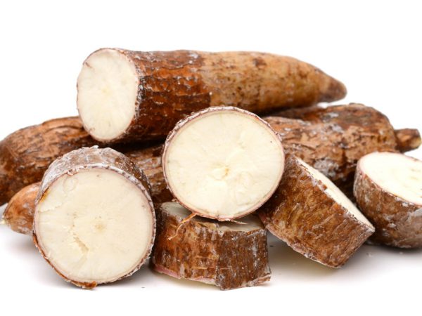 Yucca Yucca Schidigera Stem Extract