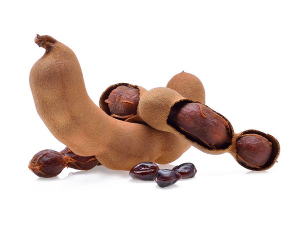 Tamarind, SE - 2134A