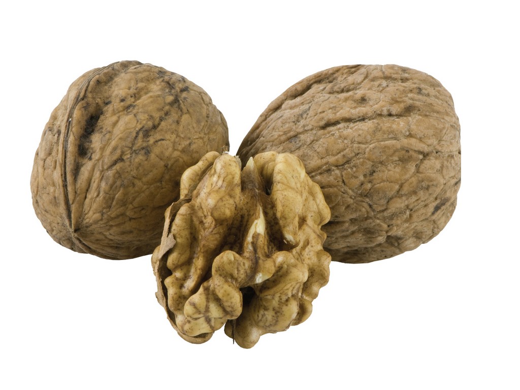 Black Walnut, FE - 5009